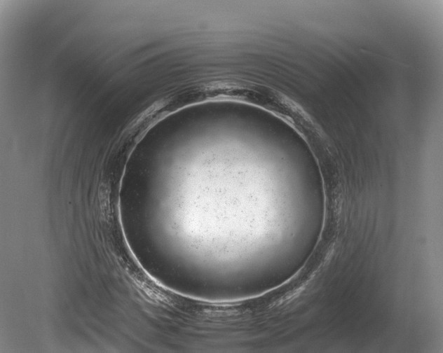 X0000080680825200612221140