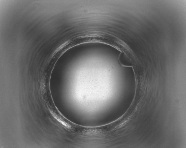 X0000080680826200612221140