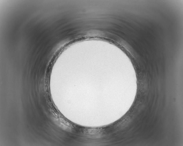 X0000080680832200612221140