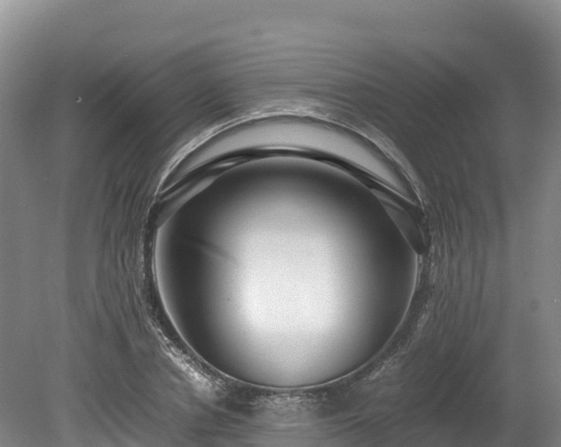 X0000080680834200612221140