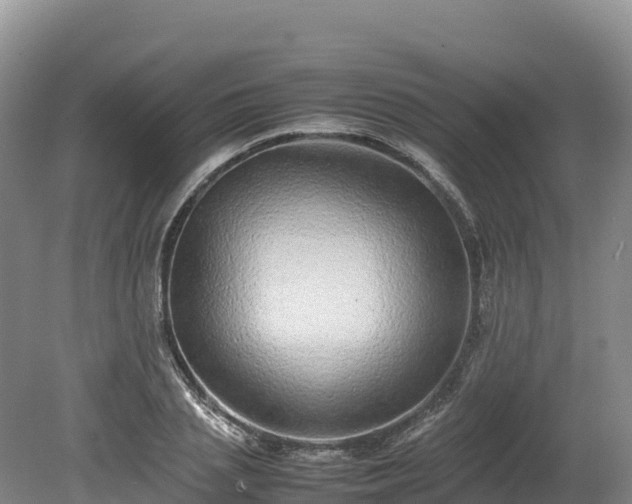 X0000080680837200612221140