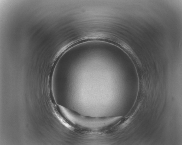 X0000080680842200612221140