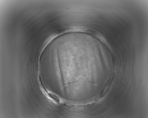 X0000080680844200612221140
