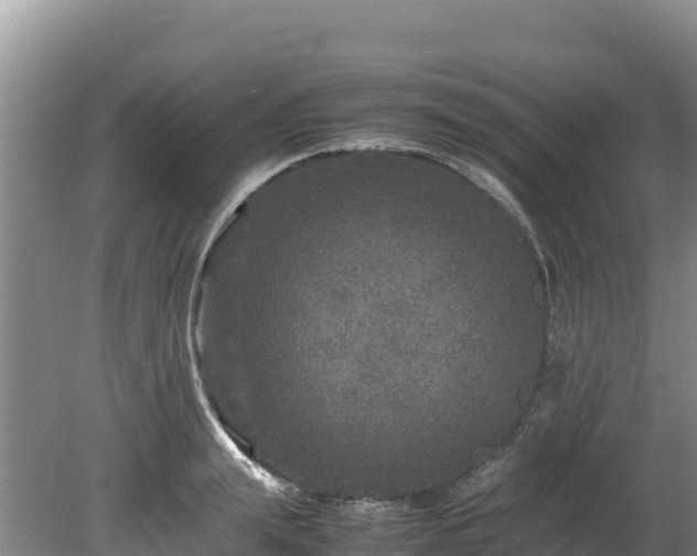 X0000080680847200612221141