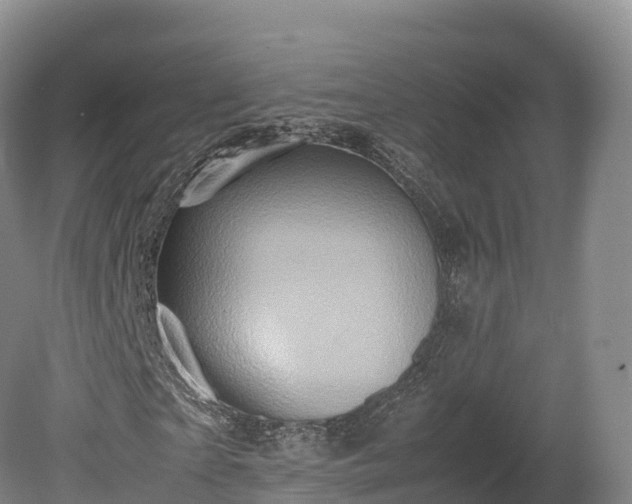 X0000080680865200612221140