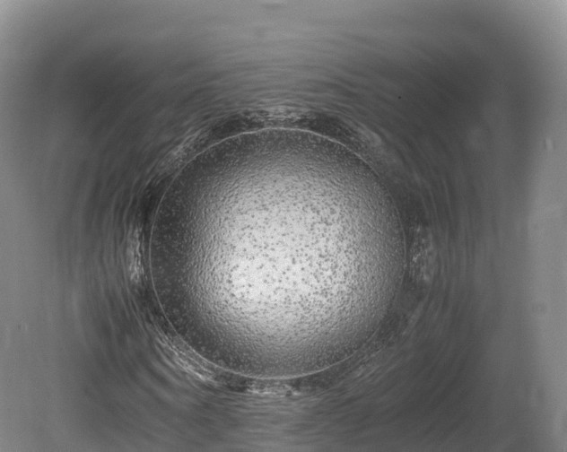 X0000080680866200612221140