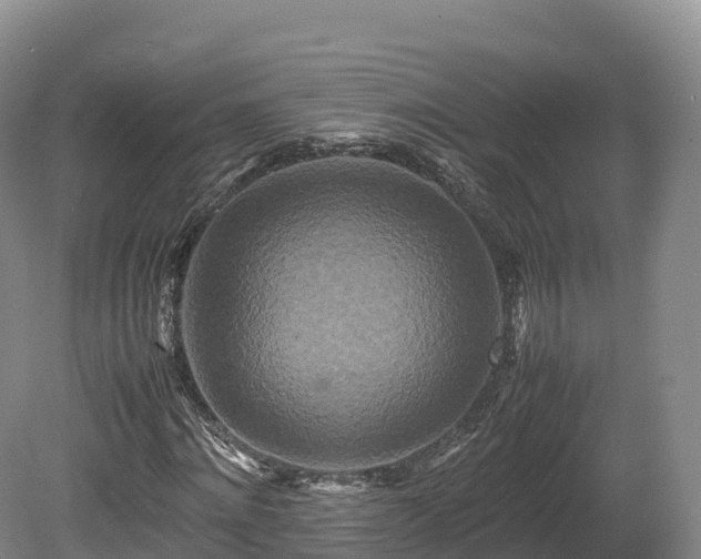 X0000080680868200612221140
