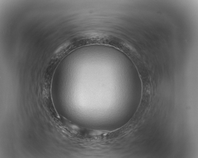 X0000080680869200612221140