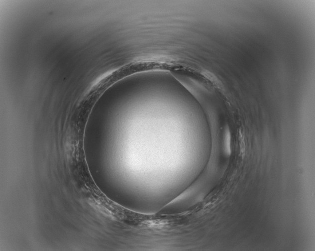 X0000080680872200612221140