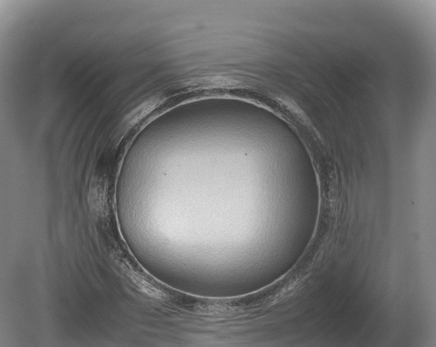 X0000080680873200612221140
