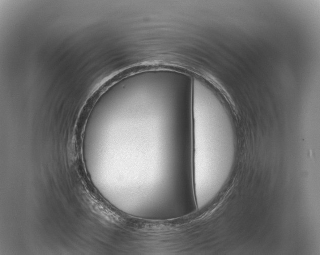 X0000080680876200612221140