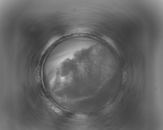 X0000080680878200612221140