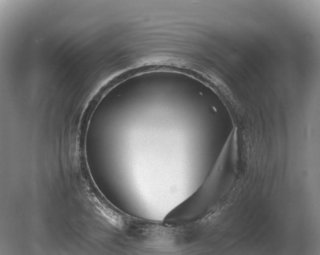 X0000080680880200612221140