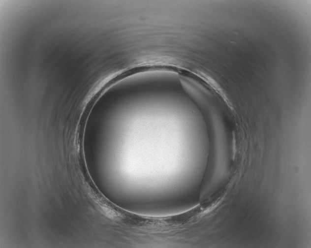 X0000080680885200612221140