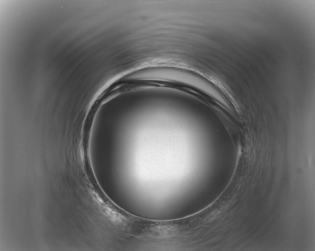 X0000080680888200612221140