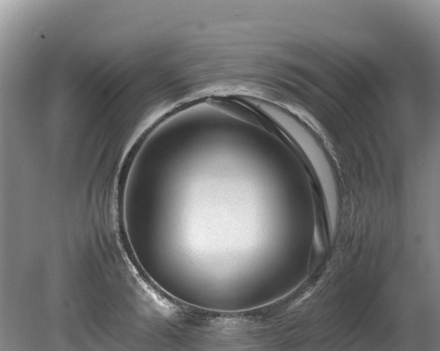 X0000080680894200612221140
