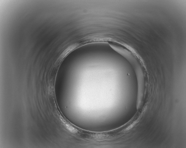 X0000080680897200612221139