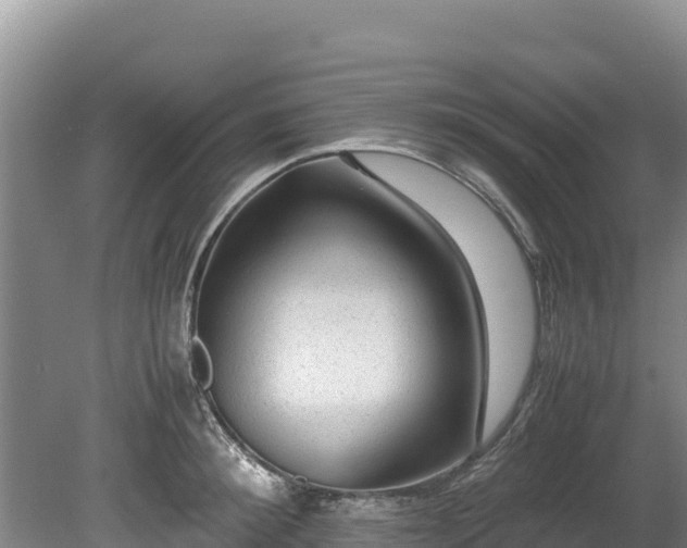 X0000080680900200612221139