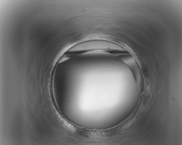 X0000080680901200612221139