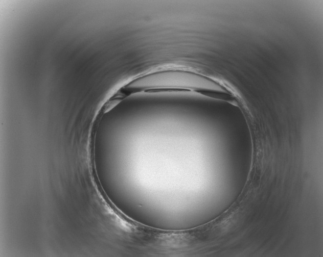 X0000080680902200612221139