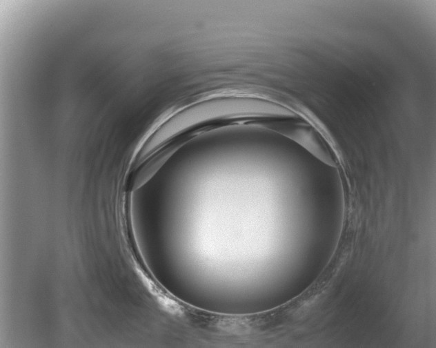 X0000080680909200612221139