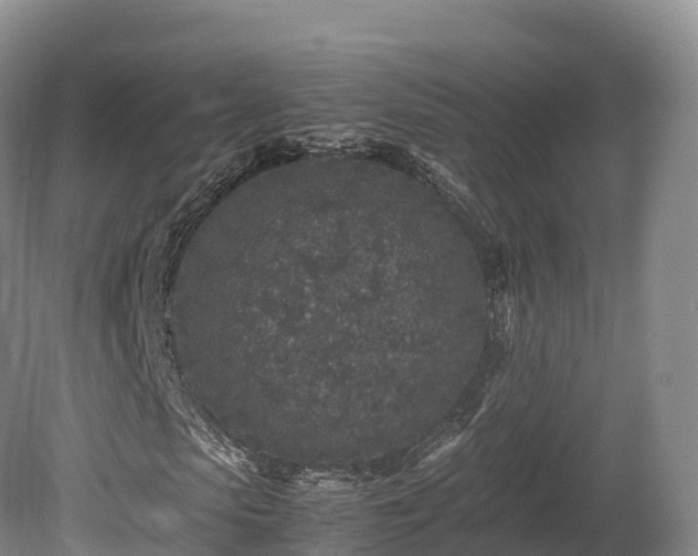 X0000080680913200612221138