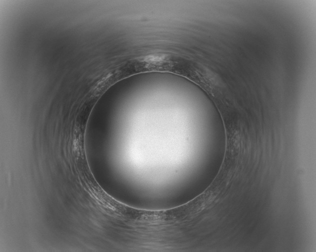 X0000080680914200612221138