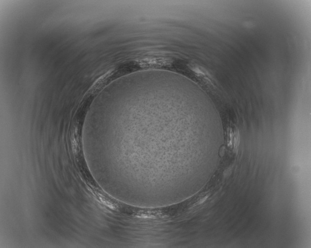 X0000080680915200612221138