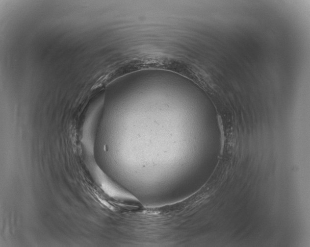 X0000080680916200612221138