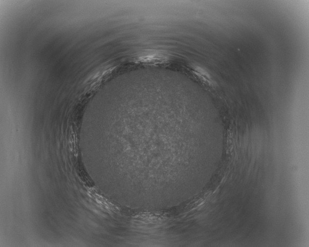 X0000080680917200612221138
