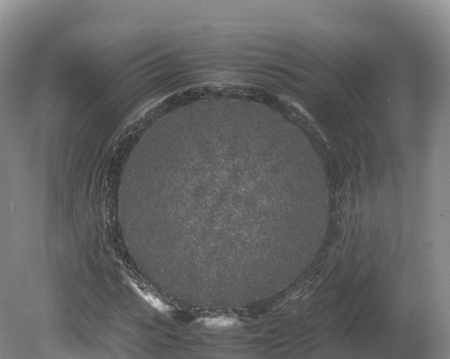 X0000080680919200612221138