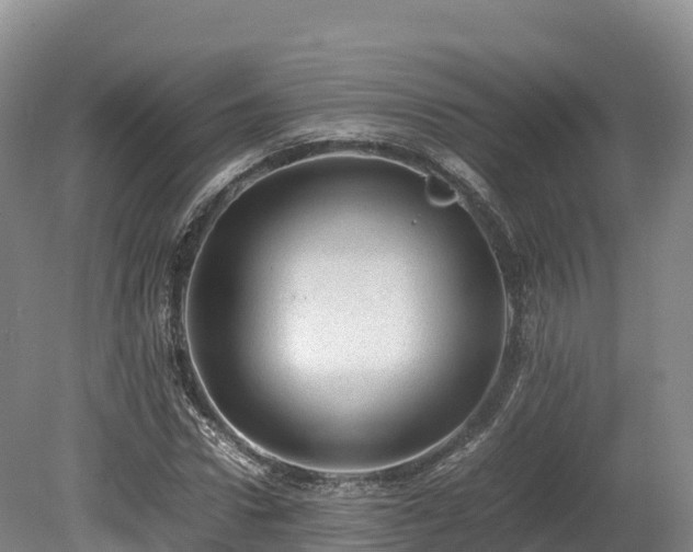X0000080680922200612221139