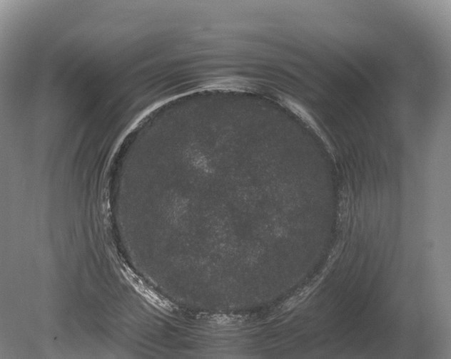 X0000080680923200612221139