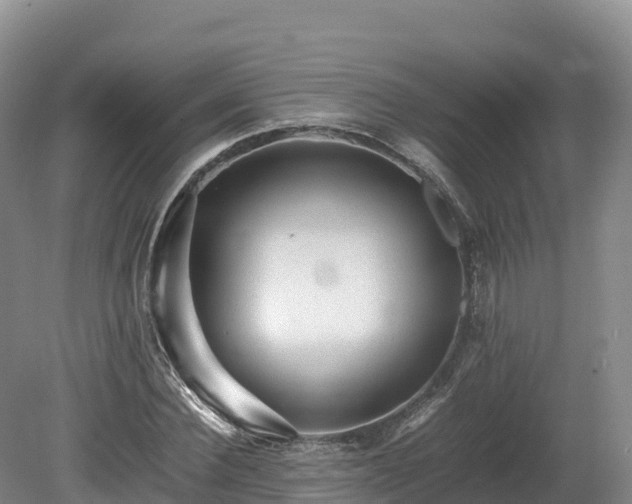 X0000080680924200612221139