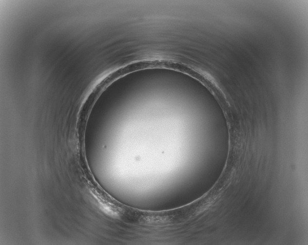 X0000080680927200612221139