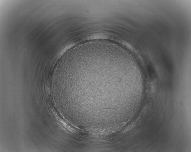 X0000080680929200612221139
