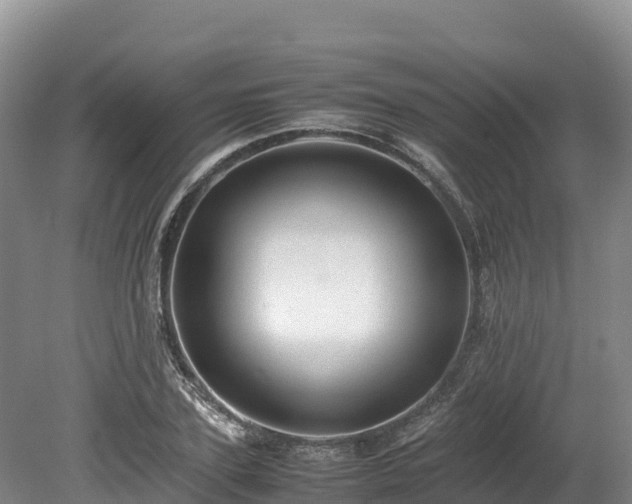 X0000080680931200612221139