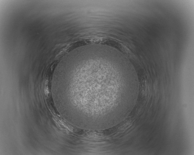X0000080680962200612221138