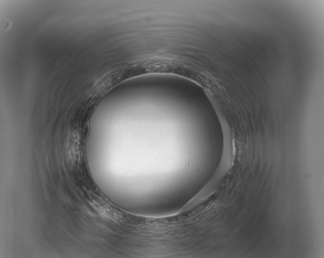 X0000080680964200612221138