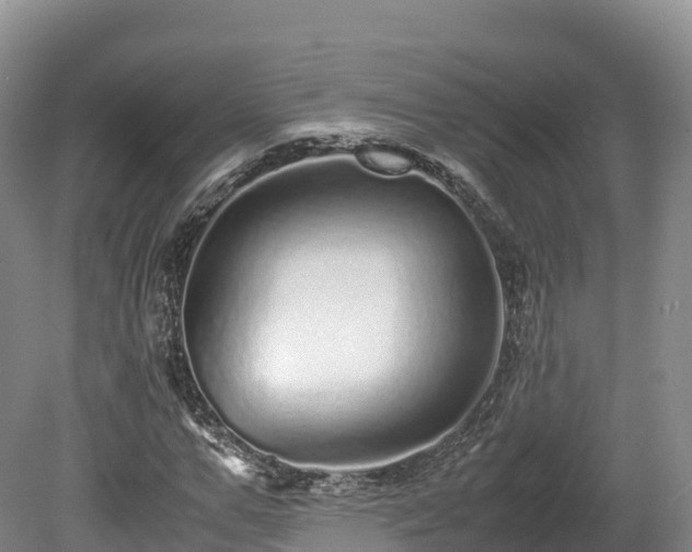 X0000080680967200612221138