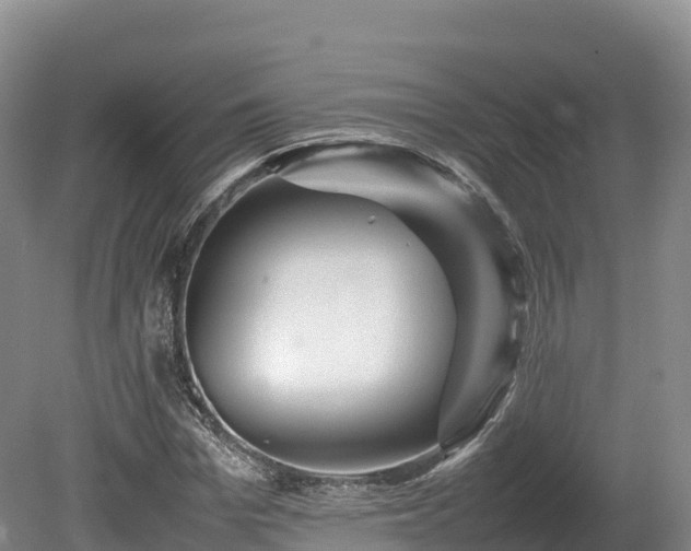 X0000080680969200612221138