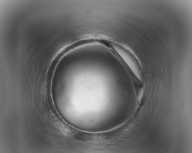 X0000080680975200612221138