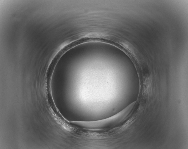 X0000080680976200612221138
