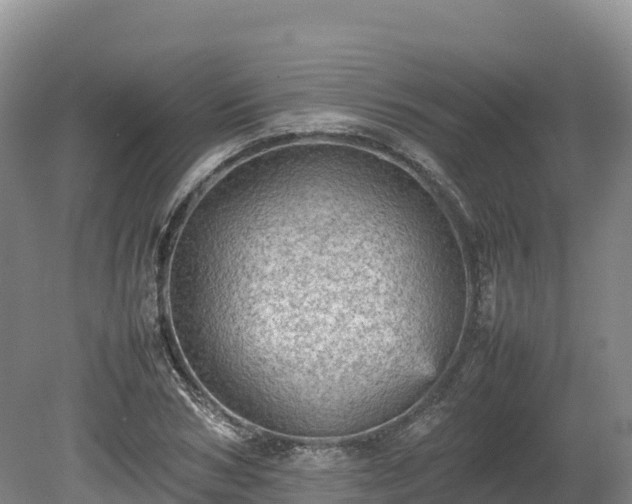 X0000080680978200612221138