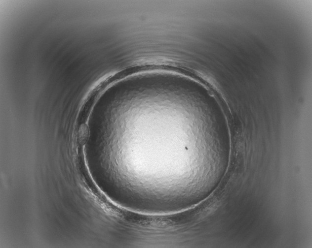 X0000080680979200612221138