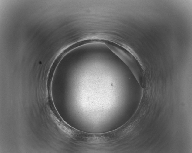 X0000080680980200612221138