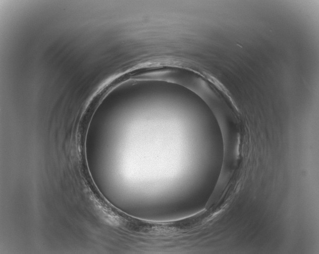 X0000080680981200612221138