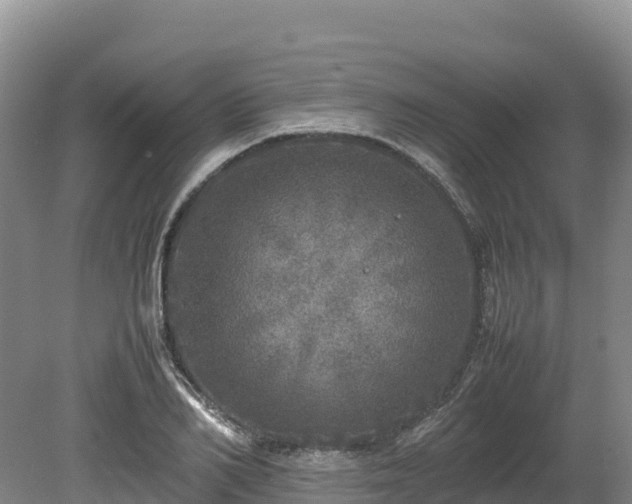 X0000080680982200612221138