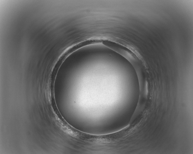 X0000080680984200612221138