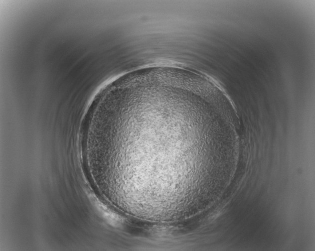 X0000080680987200612221138